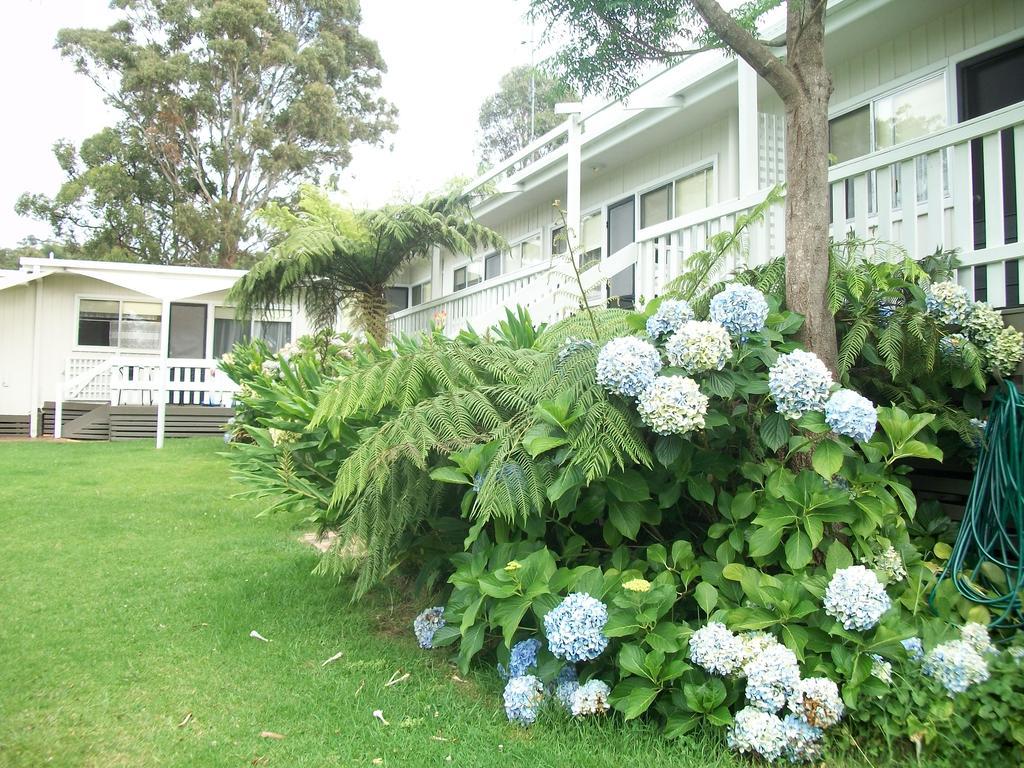 Top Of The Lake Holiday Units Merimbula Exterior photo
