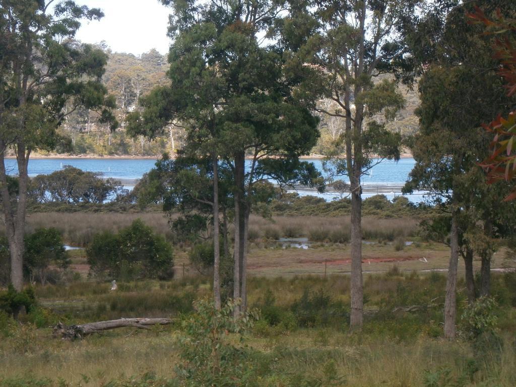 Top Of The Lake Holiday Units Merimbula Exterior photo